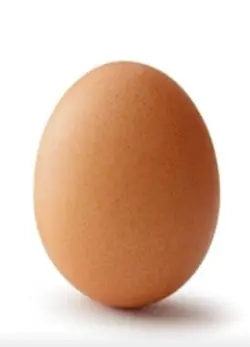 Katseye egg!