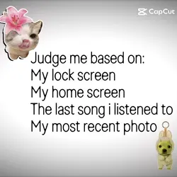 Judge me based on