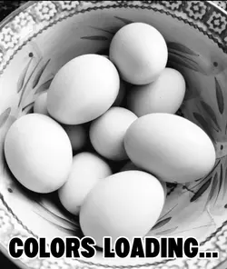 Farm Fresh Eggs