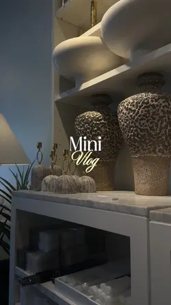 Mini Vlog