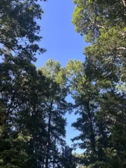 summah