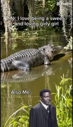 I’m a mirror 