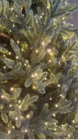 Vlogmas Day 4