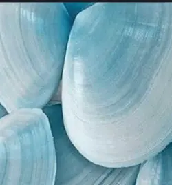 light blue core