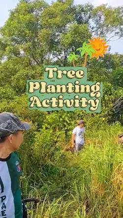 Tree planting