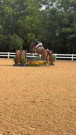 slow mo💐