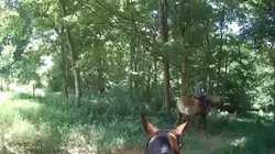 Riding Free