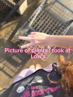 Plants at Lowes 🌱