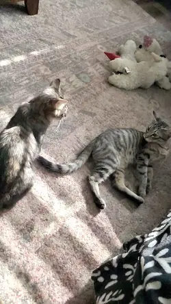 epic fight scene