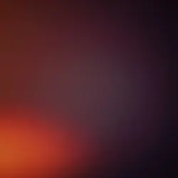 Dog bites bones|
