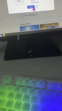 Add 5 clips