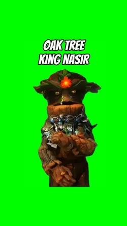 KING NASIR OAK TREE