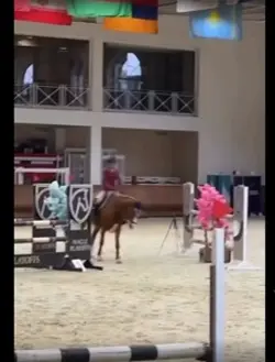Back legs 😍