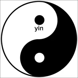 yin and yang!!