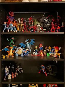 Collection reveal