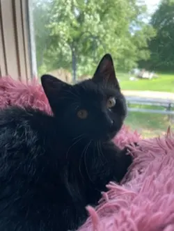-💜-🕊️ my sweet baby🕊️🥺