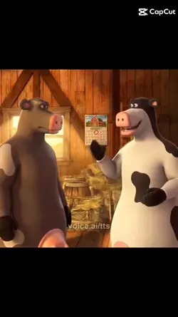happy August cowcows