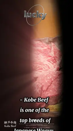 Kobe Beef dinner 