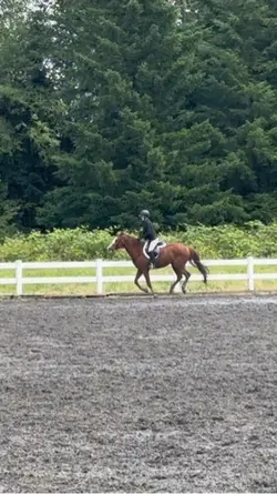 This jump 🤩