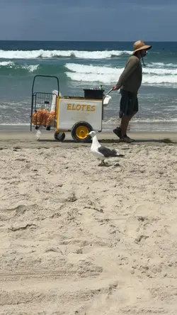 Beach Life