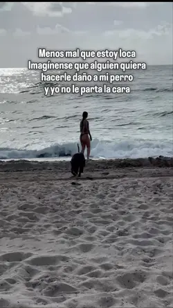 Agregar 1 clip
