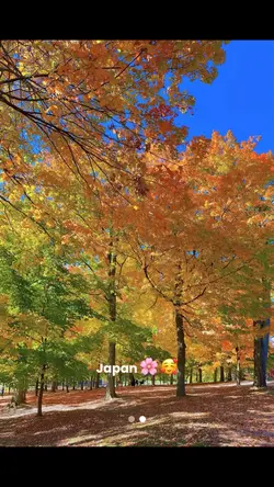 Japan Effect Trend