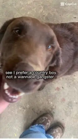 Cowboy