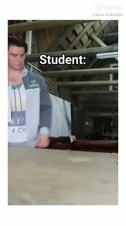 student vs teacher
