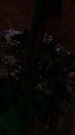 Working on branch