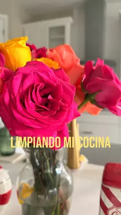 Cleaning kitchen 