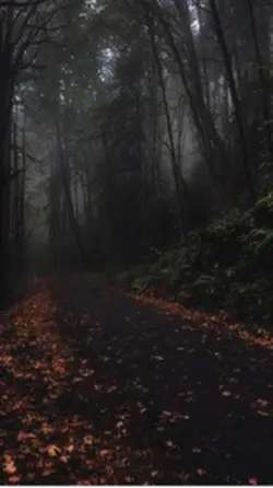 Into the Autumn Wild