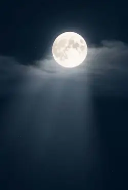 "🌙 A World Without