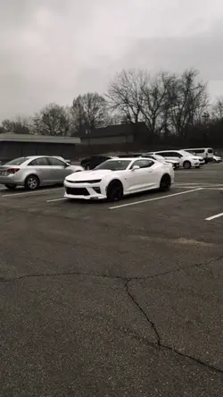 maro ss