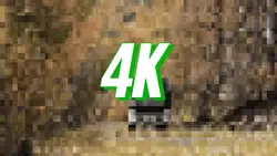 144p to 4k