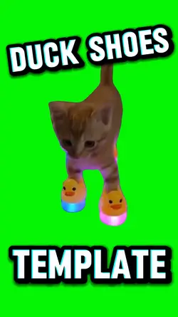 Duck Shoes 