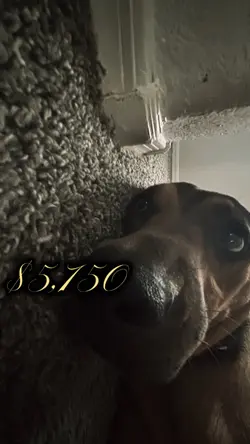 She looked at 5.750!
