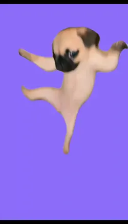 dogdance