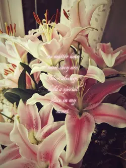 liliessss