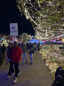 Christmas Lights