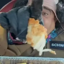 Schwoz edit