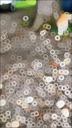 Slow motion Cat vids