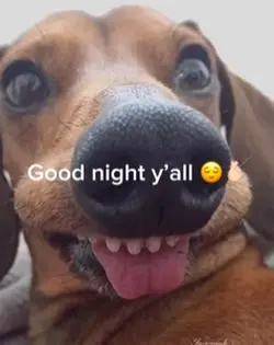 Good night y’all