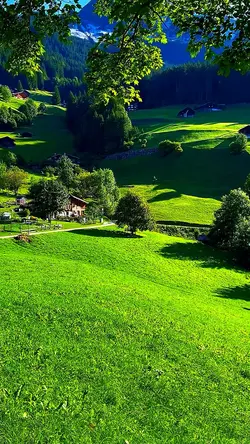 Nature vibes 