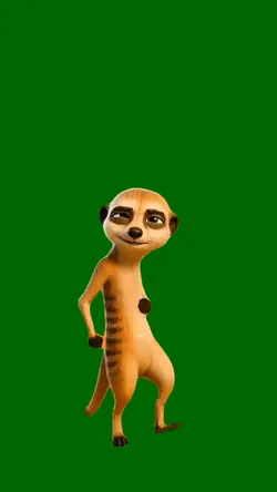 Dancing Meerkat