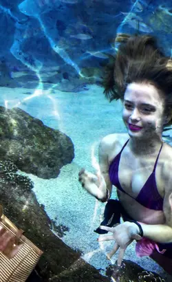 Under The Sea 