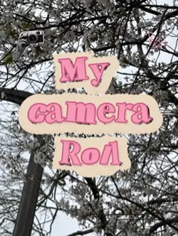 My camera roll