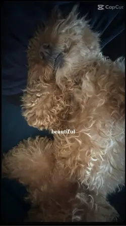Beautiful baby 
