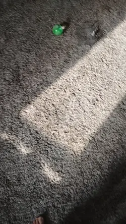 house tour