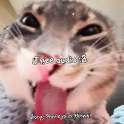 Rawr! 