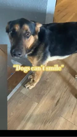 Smile